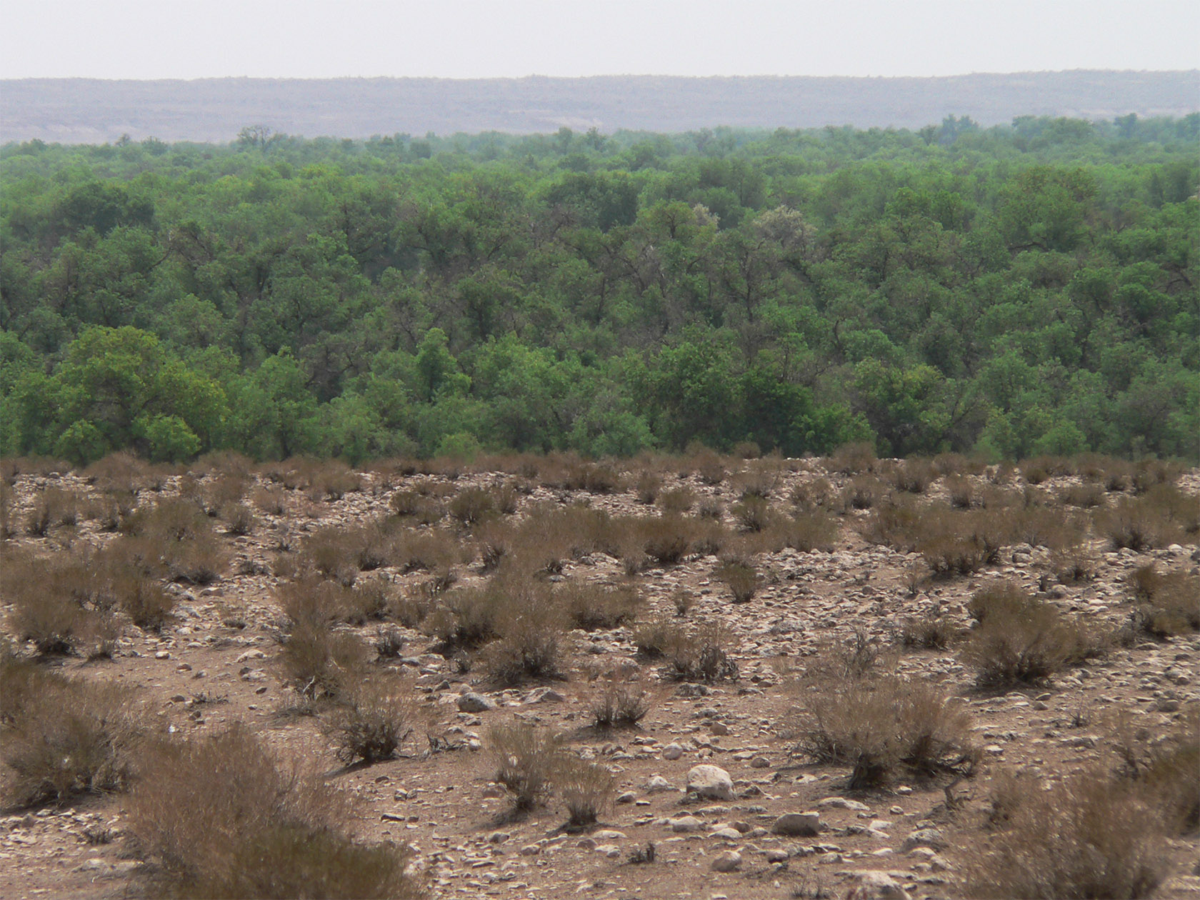 Актау, image of landscape/habitat.