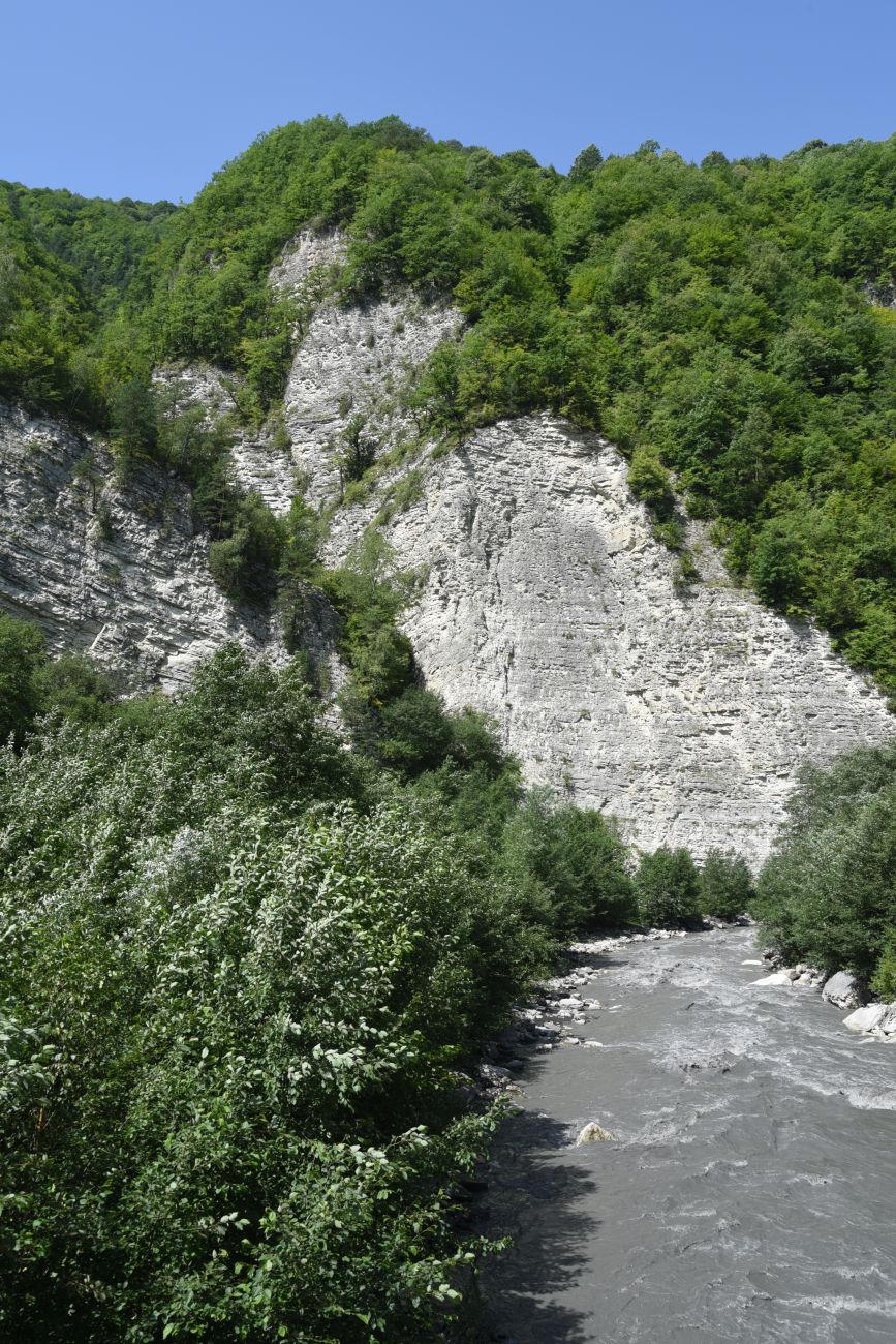 Окрестности села Дай, image of landscape/habitat.