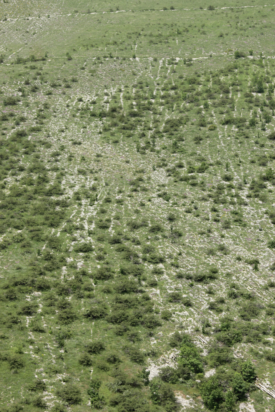 Нефтяная балка, image of landscape/habitat.