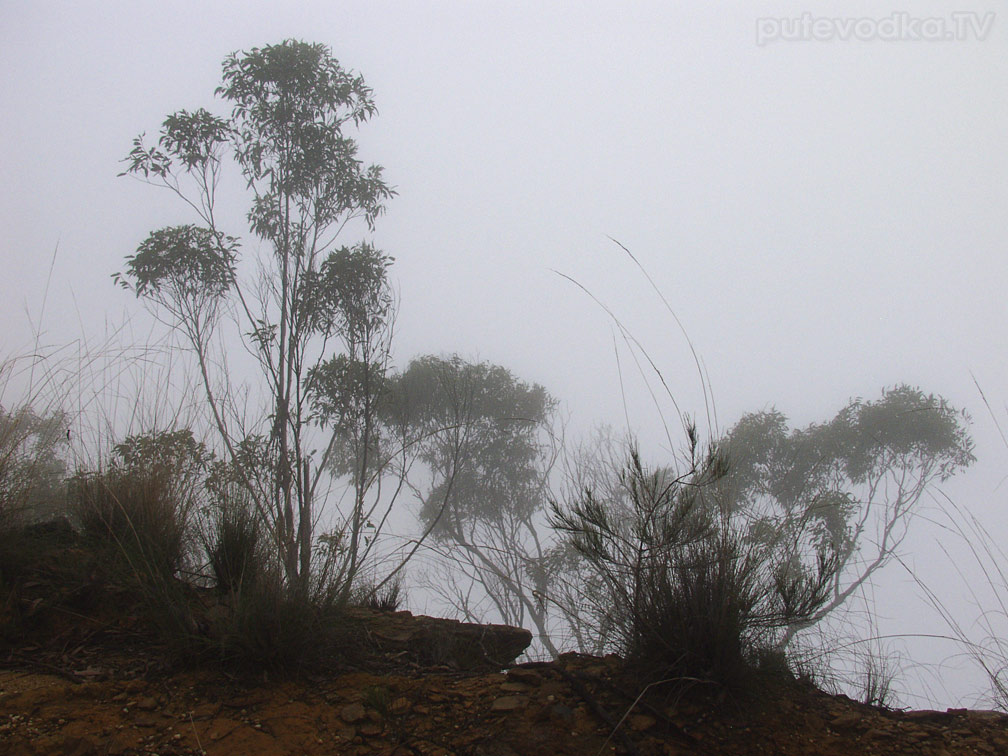 Голубые горы, image of landscape/habitat.