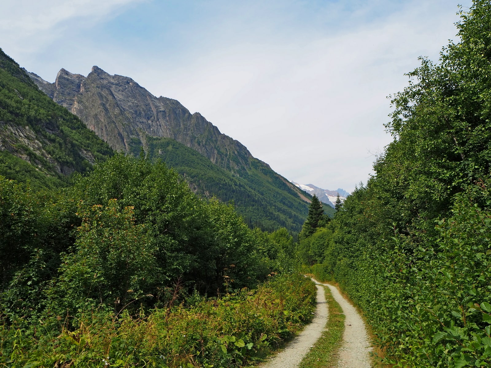 Домбай-Ульген, image of landscape/habitat.