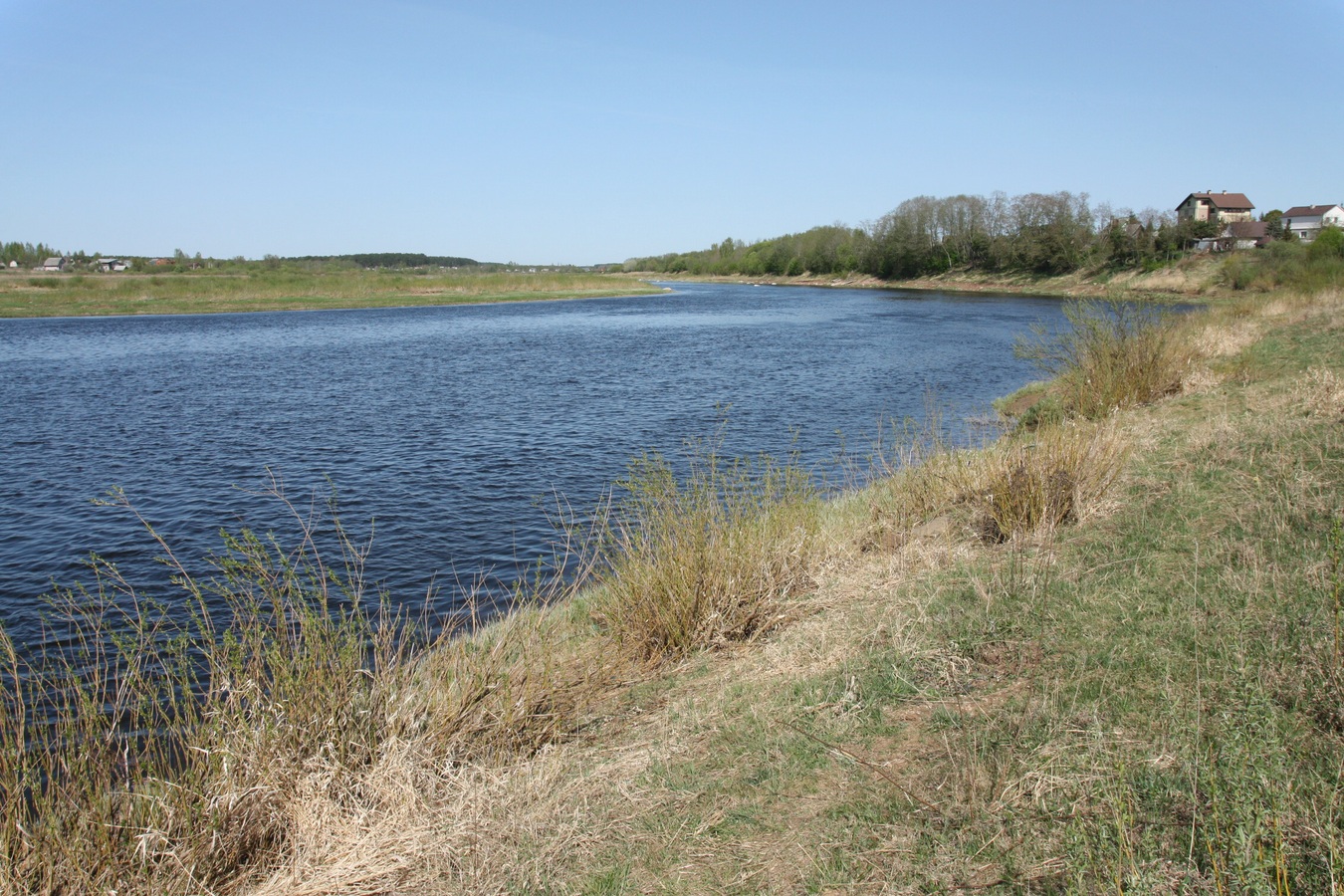 Выбуты, image of landscape/habitat.