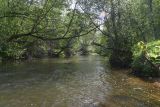 Окрестности деревни Семичёво, image of landscape/habitat.