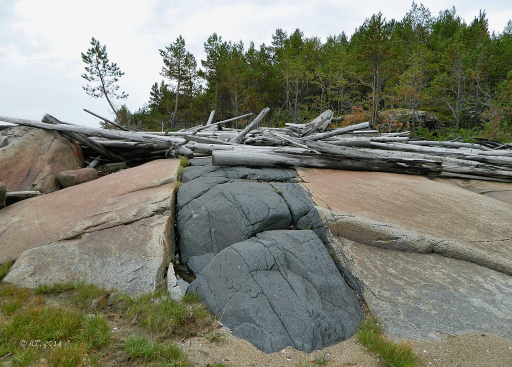 Унежма, image of landscape/habitat.