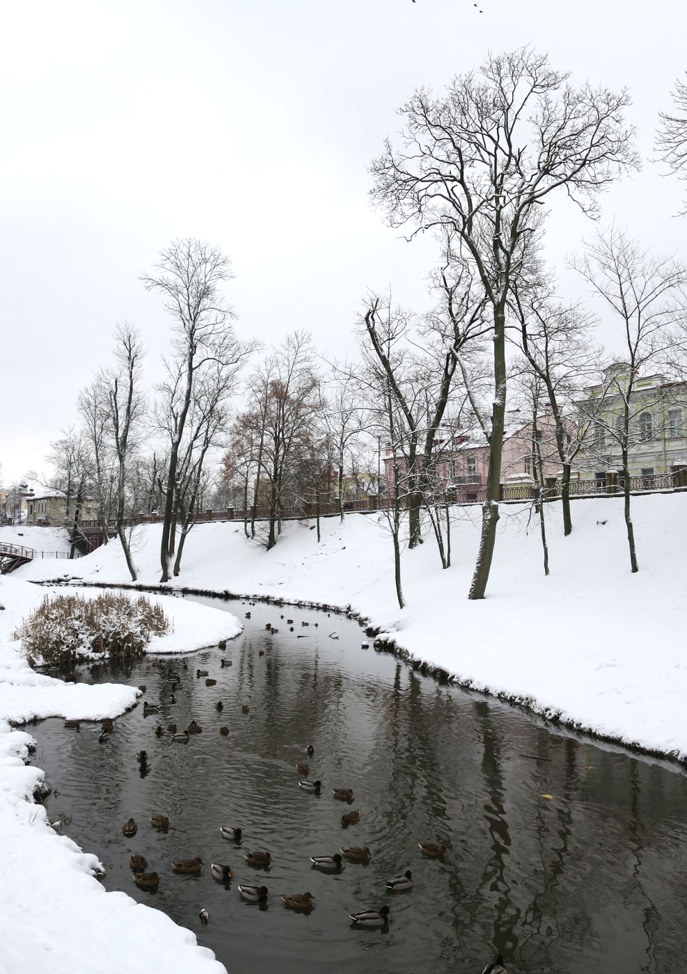 Парк Жилибера, image of landscape/habitat.