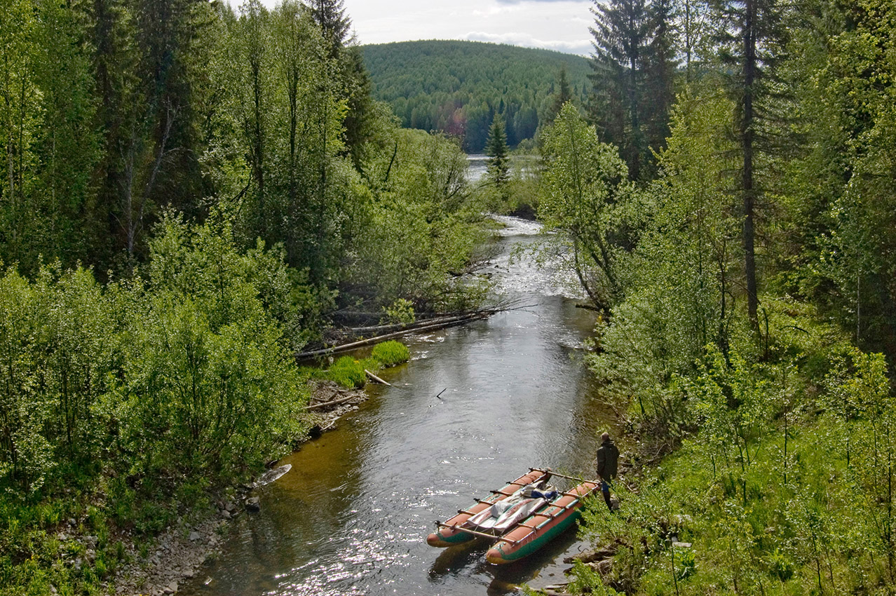 Берёзовая от Вижая до Валая, image of landscape/habitat.