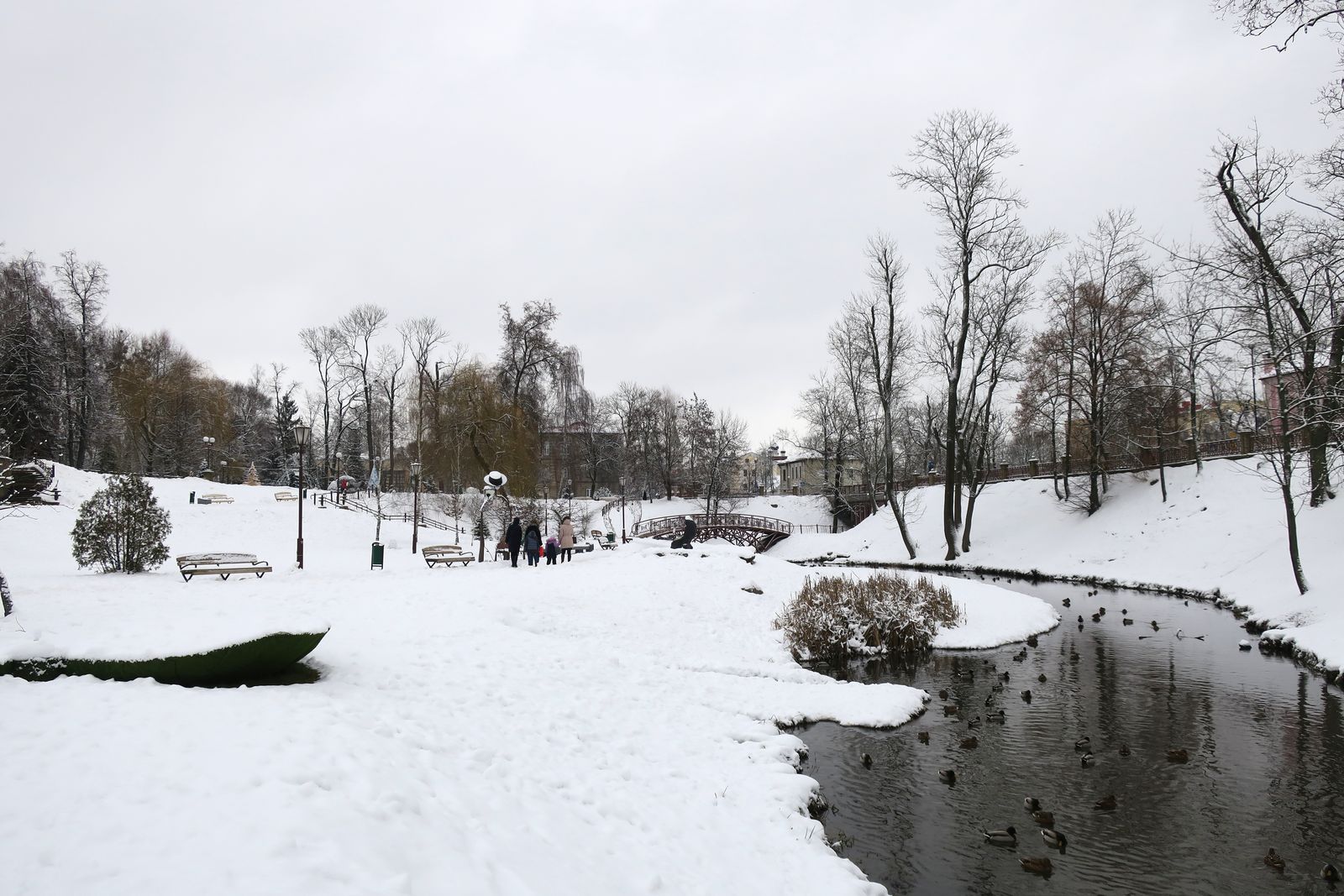 Парк Жилибера, image of landscape/habitat.