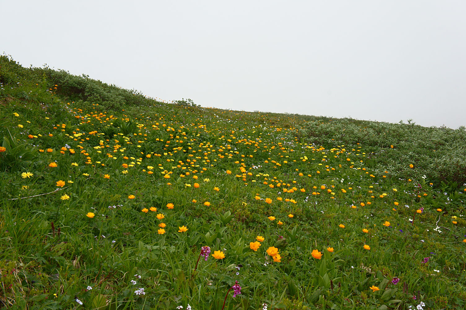 Чертовы ворота - Босан, image of landscape/habitat.