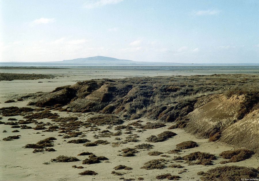 Богдино-Баскунчакский заповедник, image of landscape/habitat.