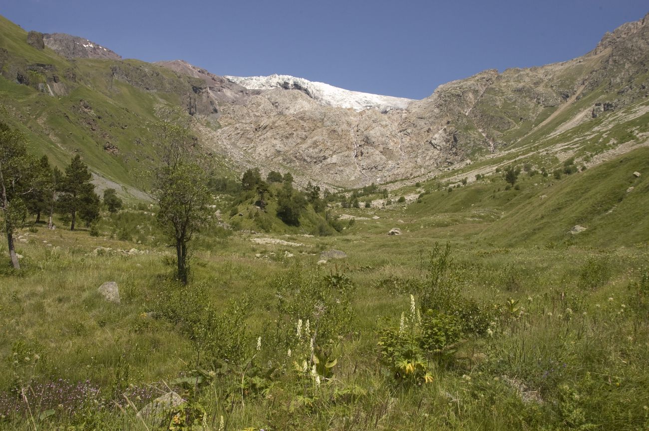 Долина реки Терскол, image of landscape/habitat.