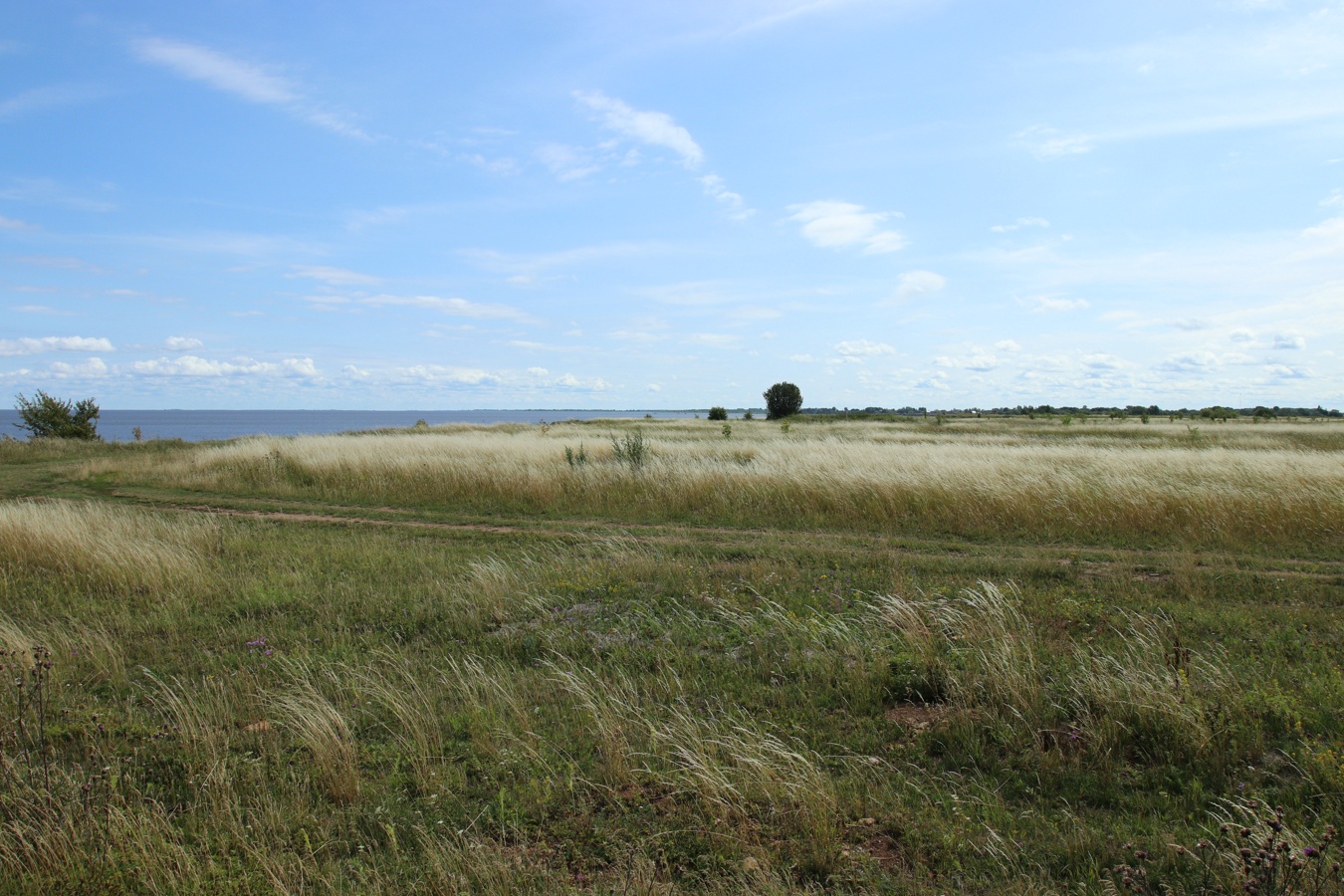 Ильменский глинт, image of landscape/habitat.