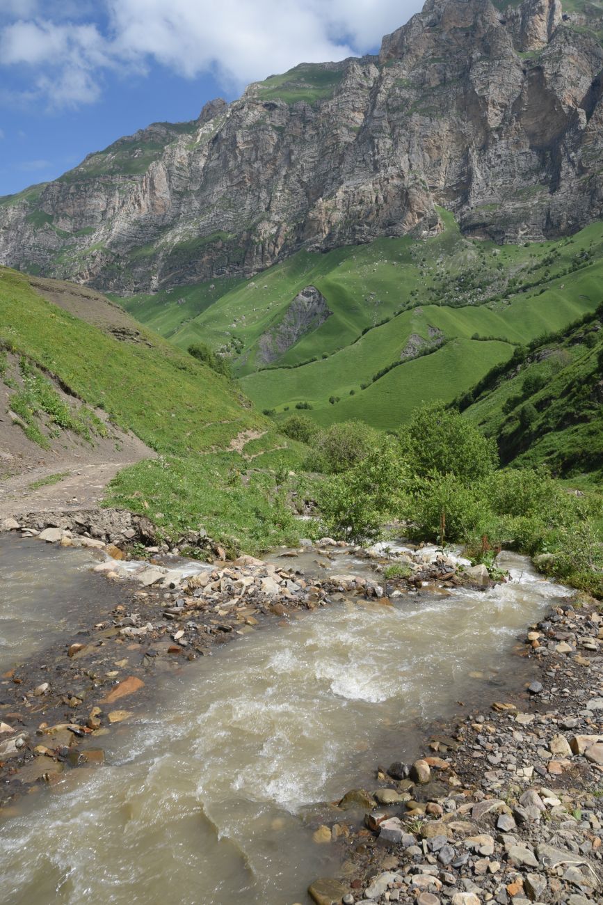 Урочище Хилиди, image of landscape/habitat.