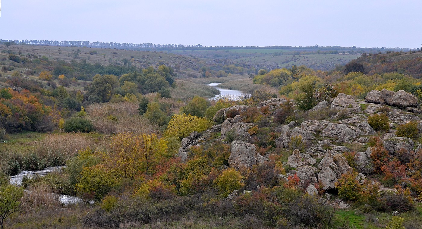 Урочище Монастырище, image of landscape/habitat.