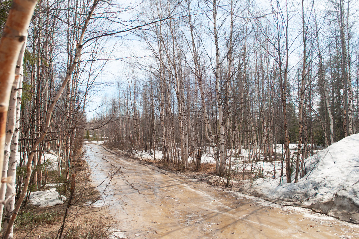 Салехард, image of landscape/habitat.