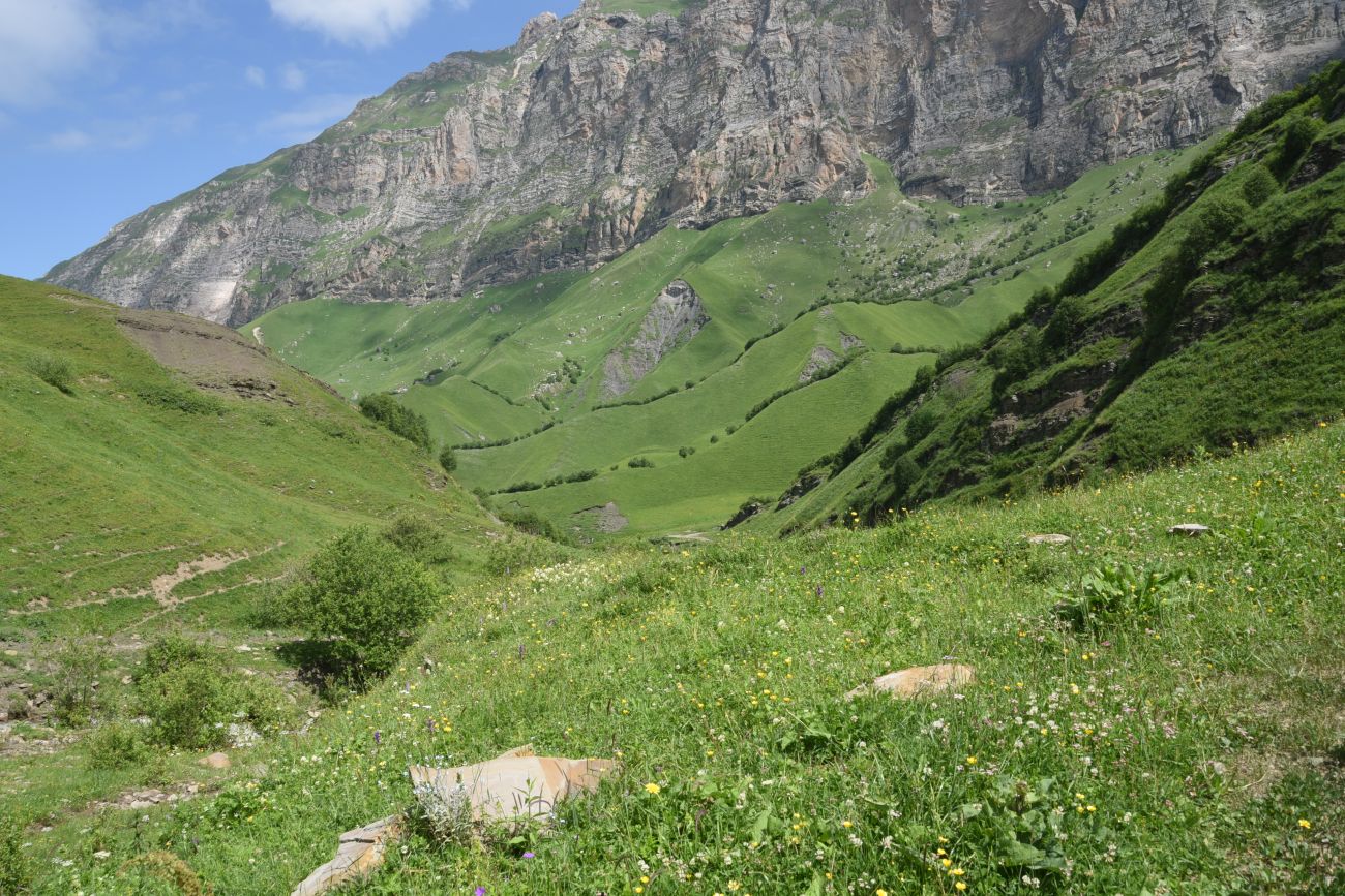 Урочище Хилиди, image of landscape/habitat.