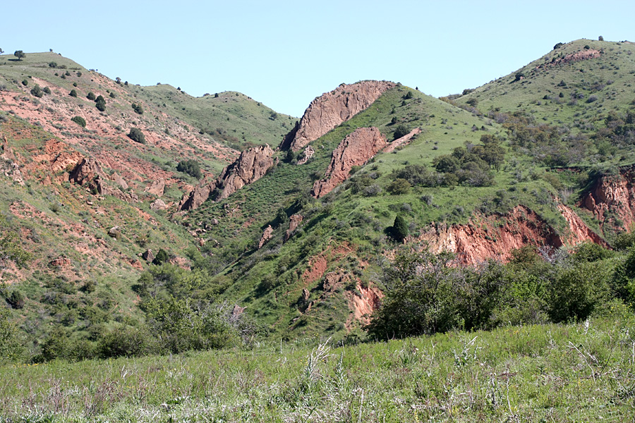 Ущелье Кызылбулак, image of landscape/habitat.