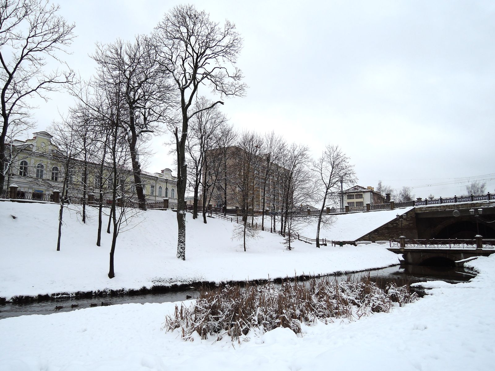 Парк Жилибера, image of landscape/habitat.