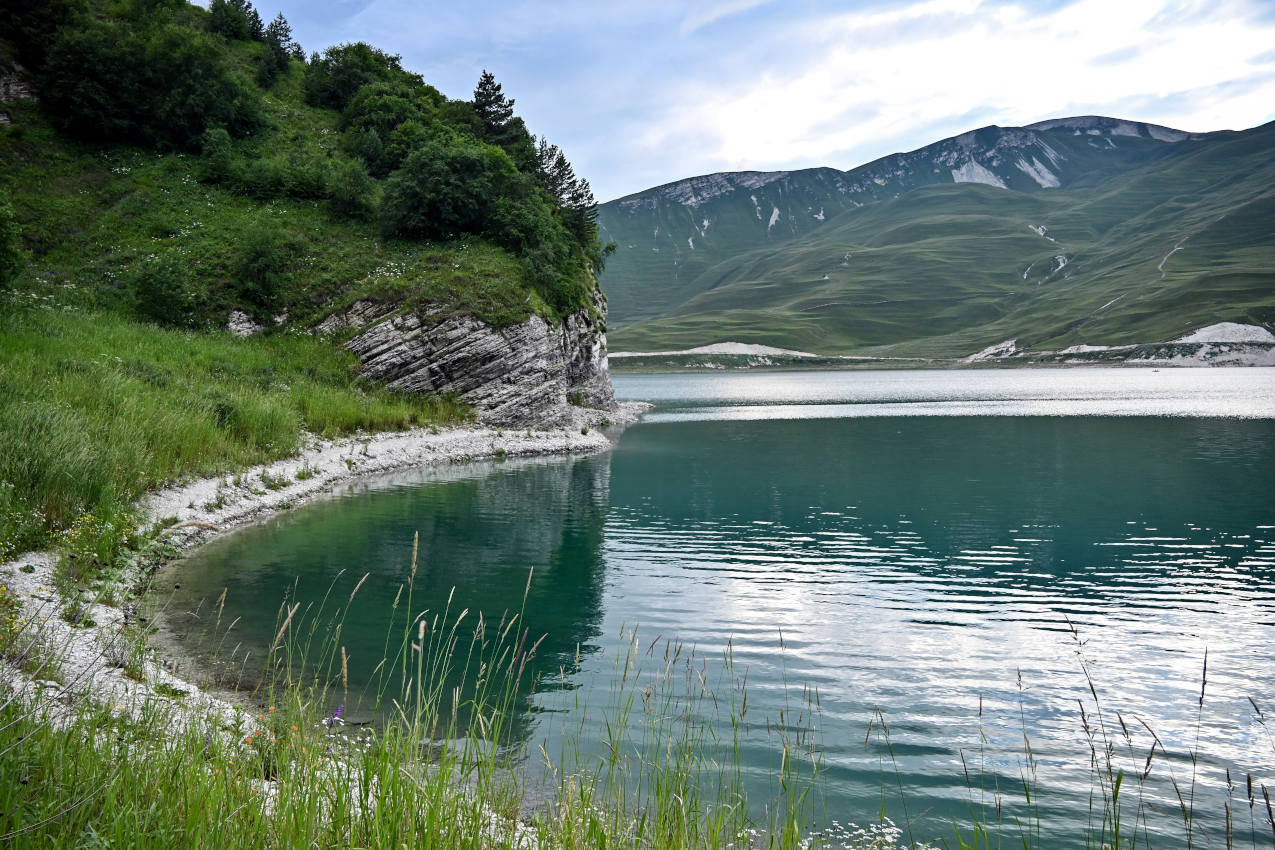 Озеро Кезенойам, image of landscape/habitat.