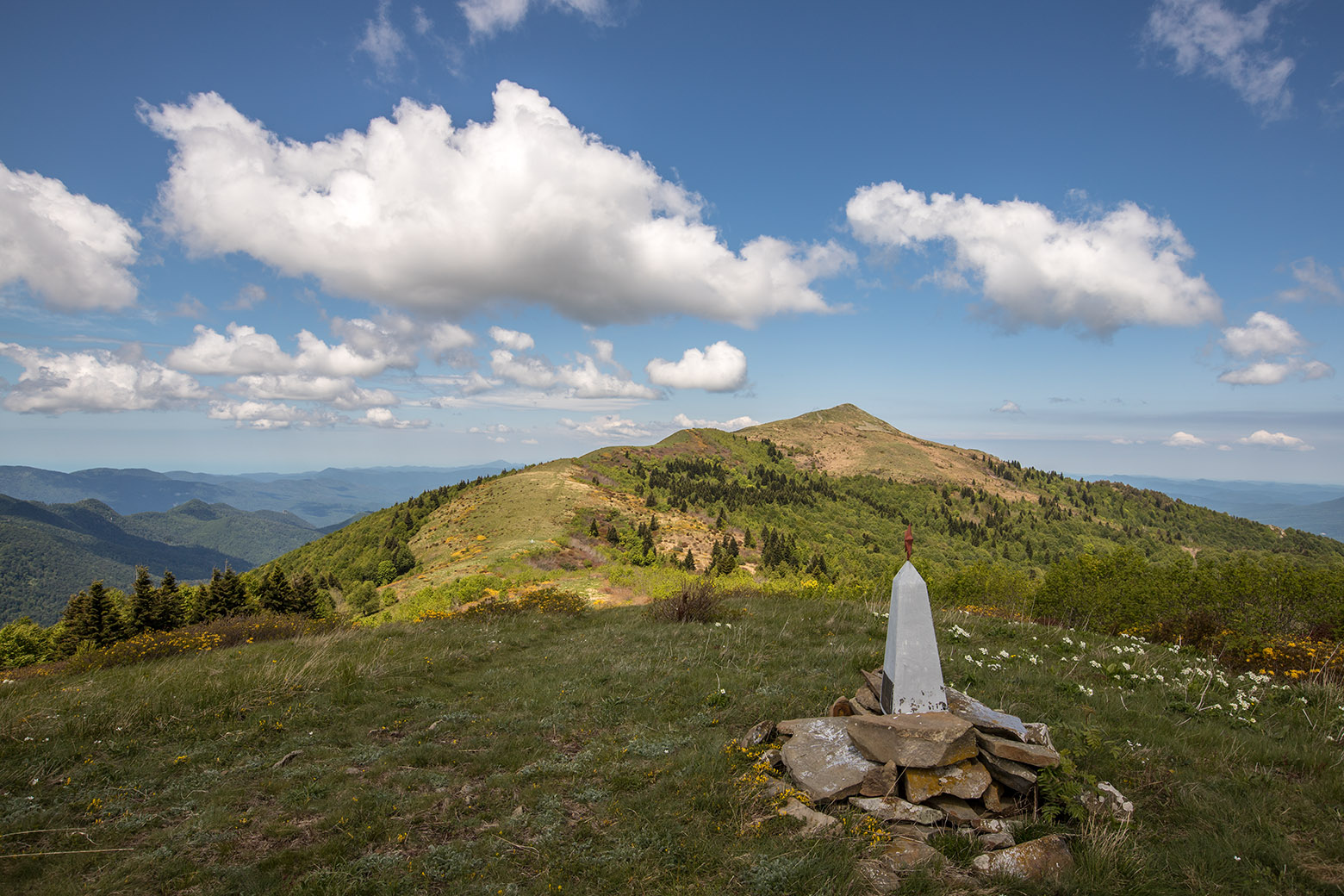 Массив горы Семиглавая, image of landscape/habitat.