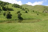 Урочище Хилиди, image of landscape/habitat.