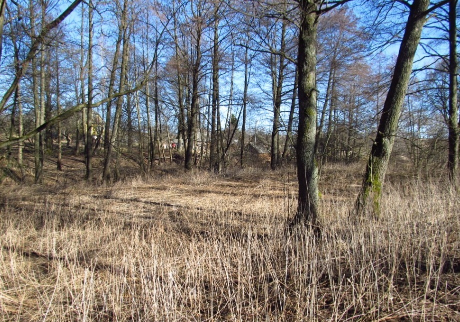 Новогрудок, image of landscape/habitat.