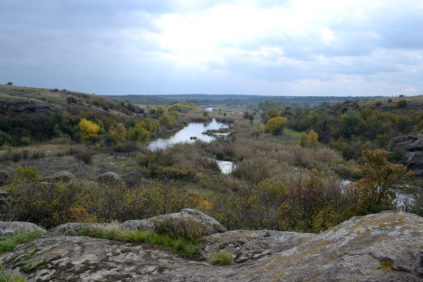 Урочище Монастырище, image of landscape/habitat.