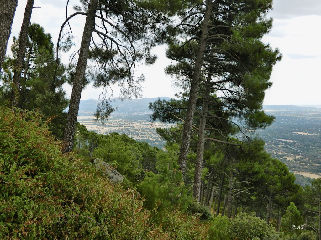 Аbantos (гора стервятников), image of landscape/habitat.