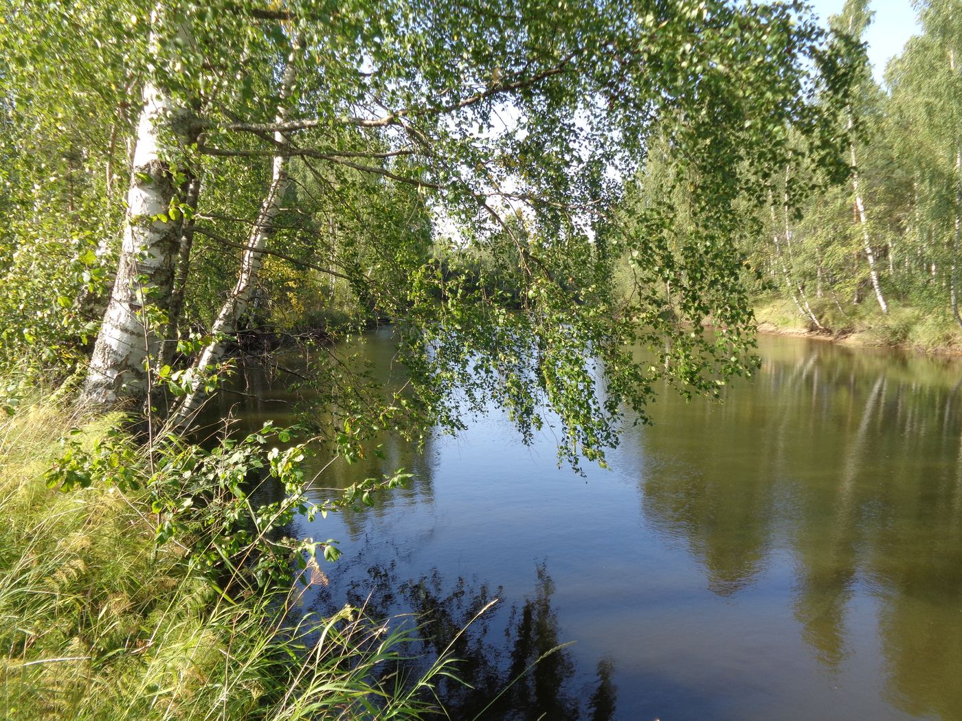 Хутор Спас-Реня, image of landscape/habitat.