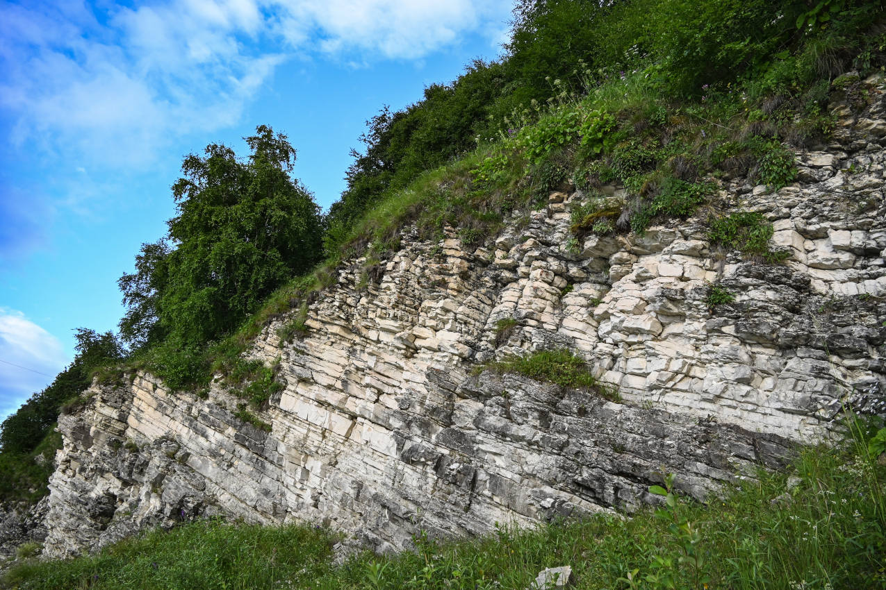 Озеро Кезенойам, image of landscape/habitat.