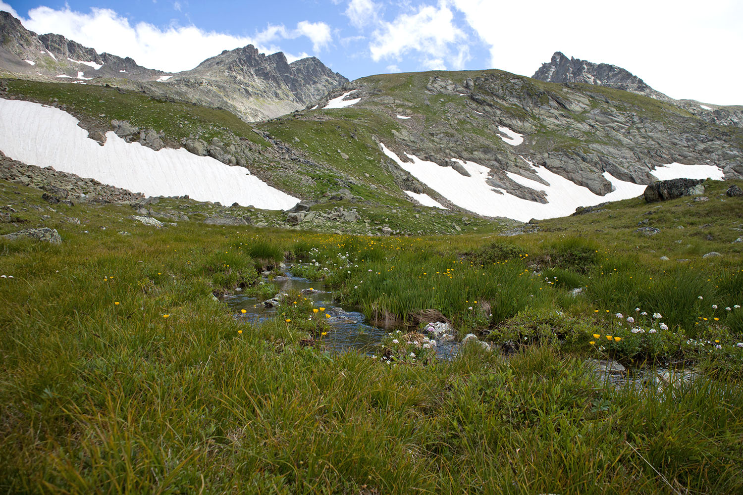 Верховья Имеретинки, image of landscape/habitat.