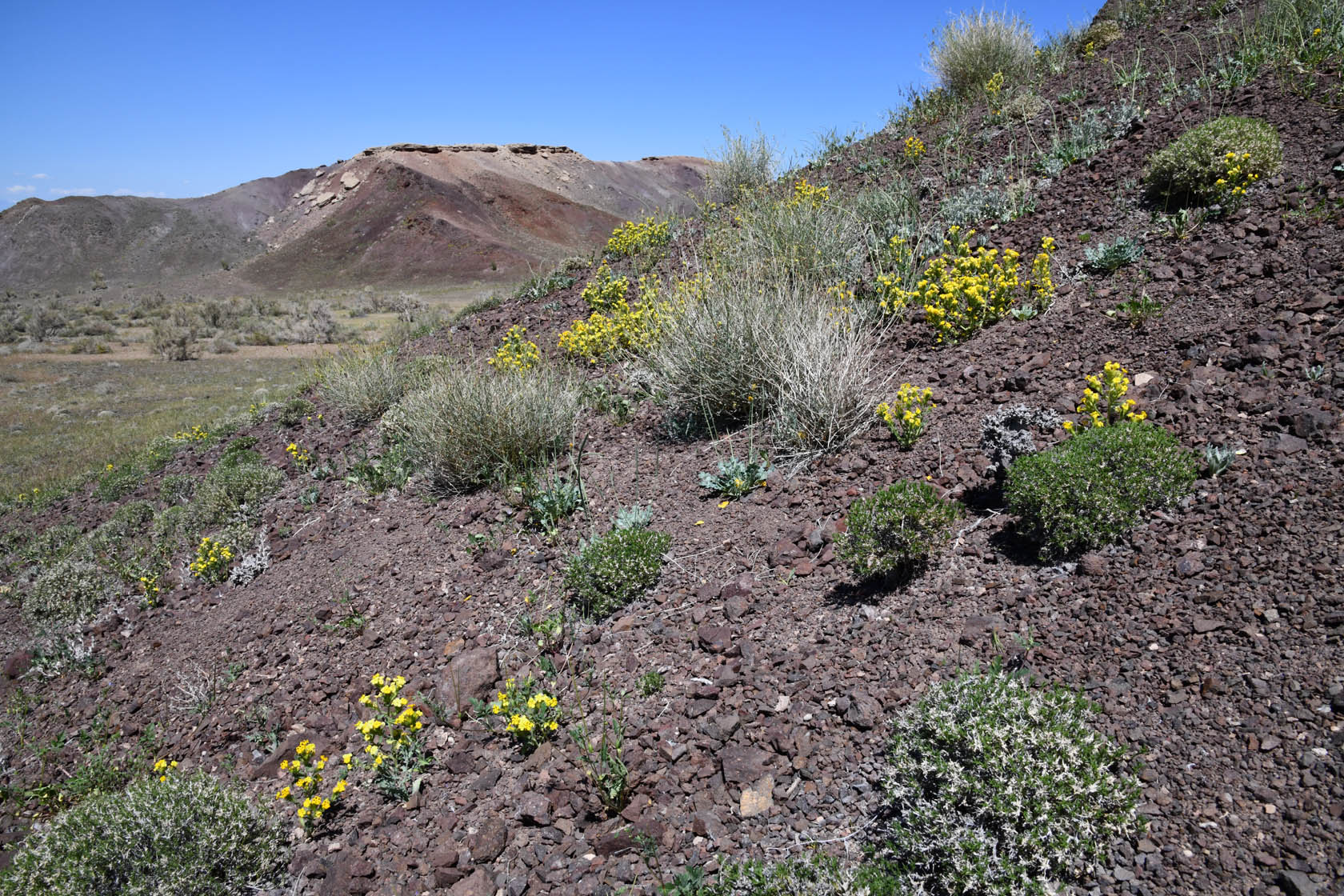 Горы Улькен-Богуты, image of landscape/habitat.