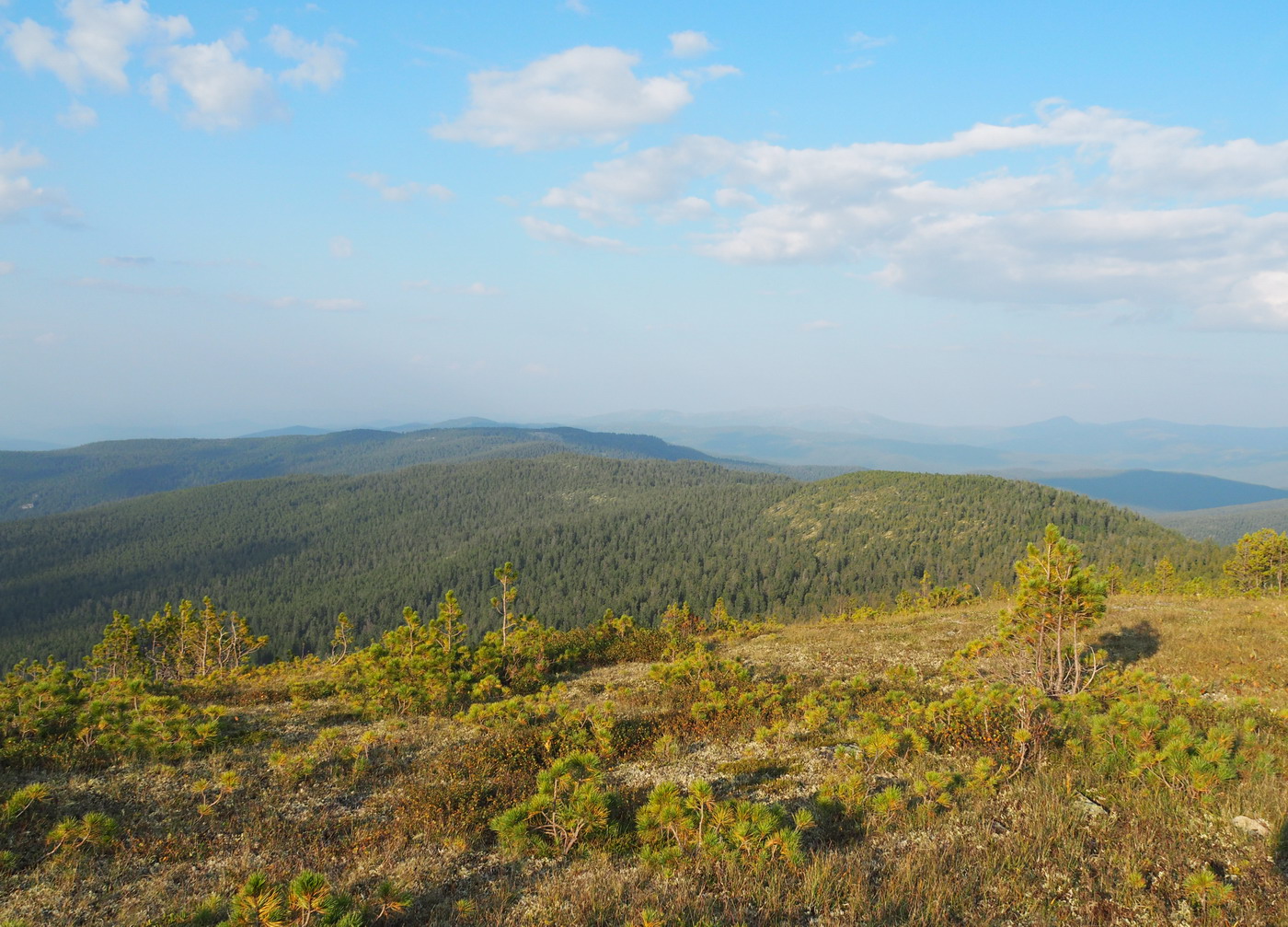 Верховья Амыла, image of landscape/habitat.