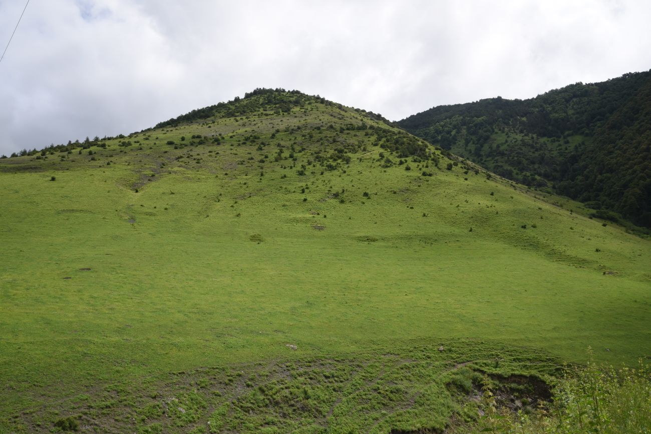 Бялган, image of landscape/habitat.