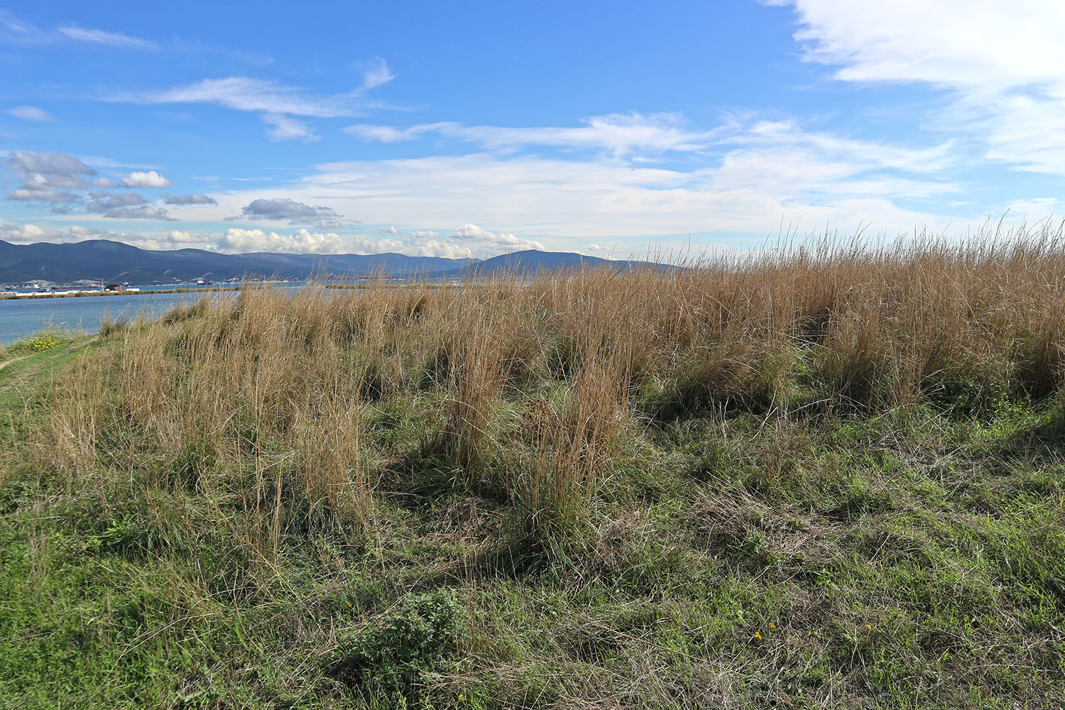 Окрестности Суджукской лагуны, image of landscape/habitat.