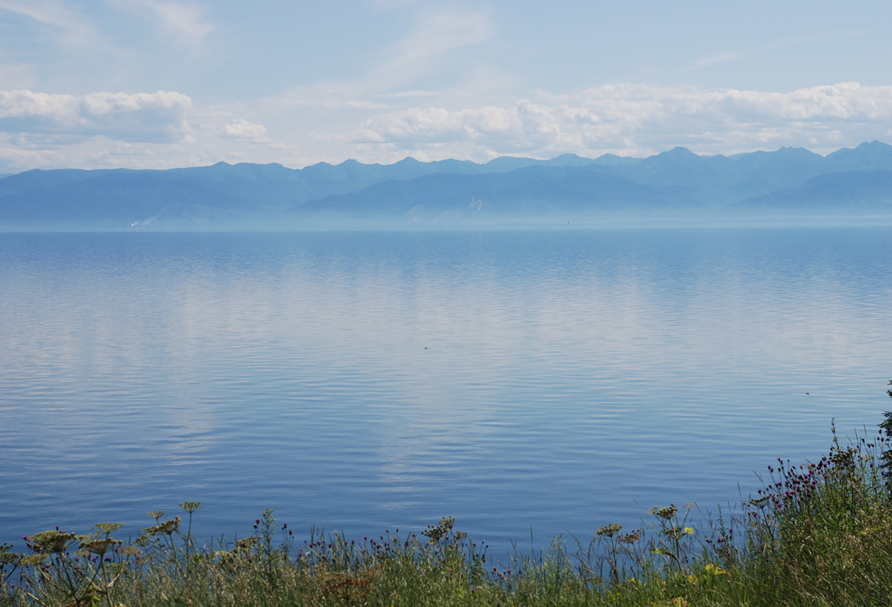 Киркирей, image of landscape/habitat.