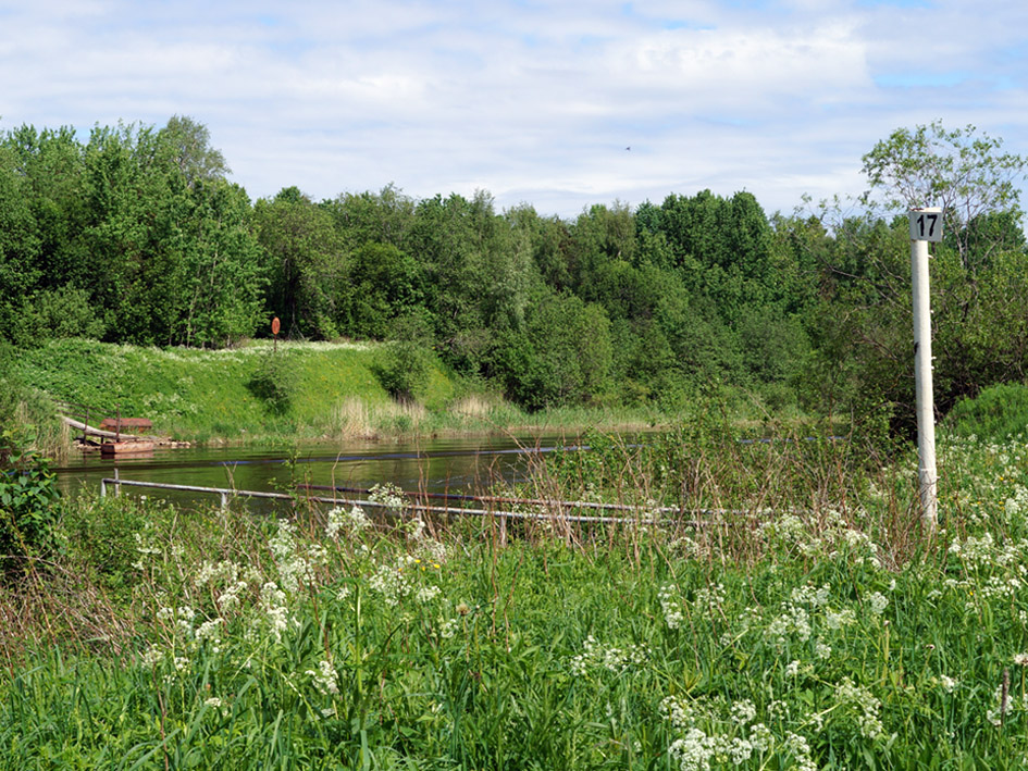 Окрестности садоводства Восход, image of landscape/habitat.