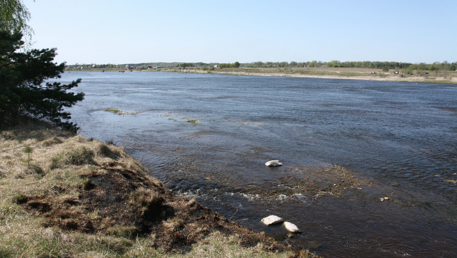 Выбуты, image of landscape/habitat.