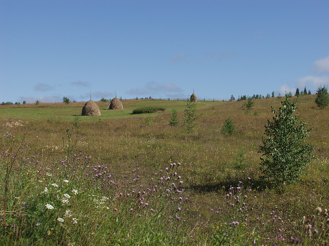 Акичкин Починок, image of landscape/habitat.