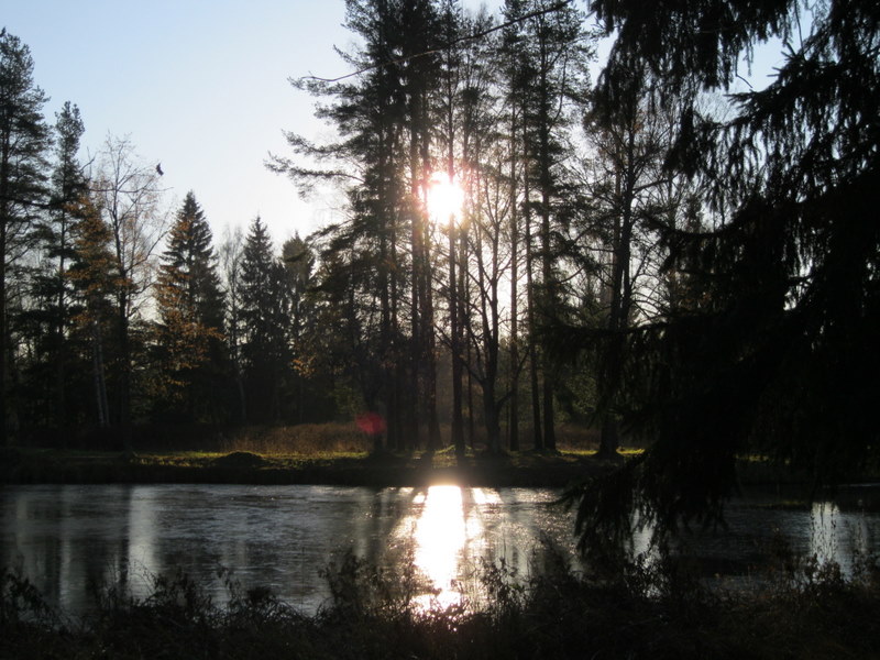 Павловск, image of landscape/habitat.