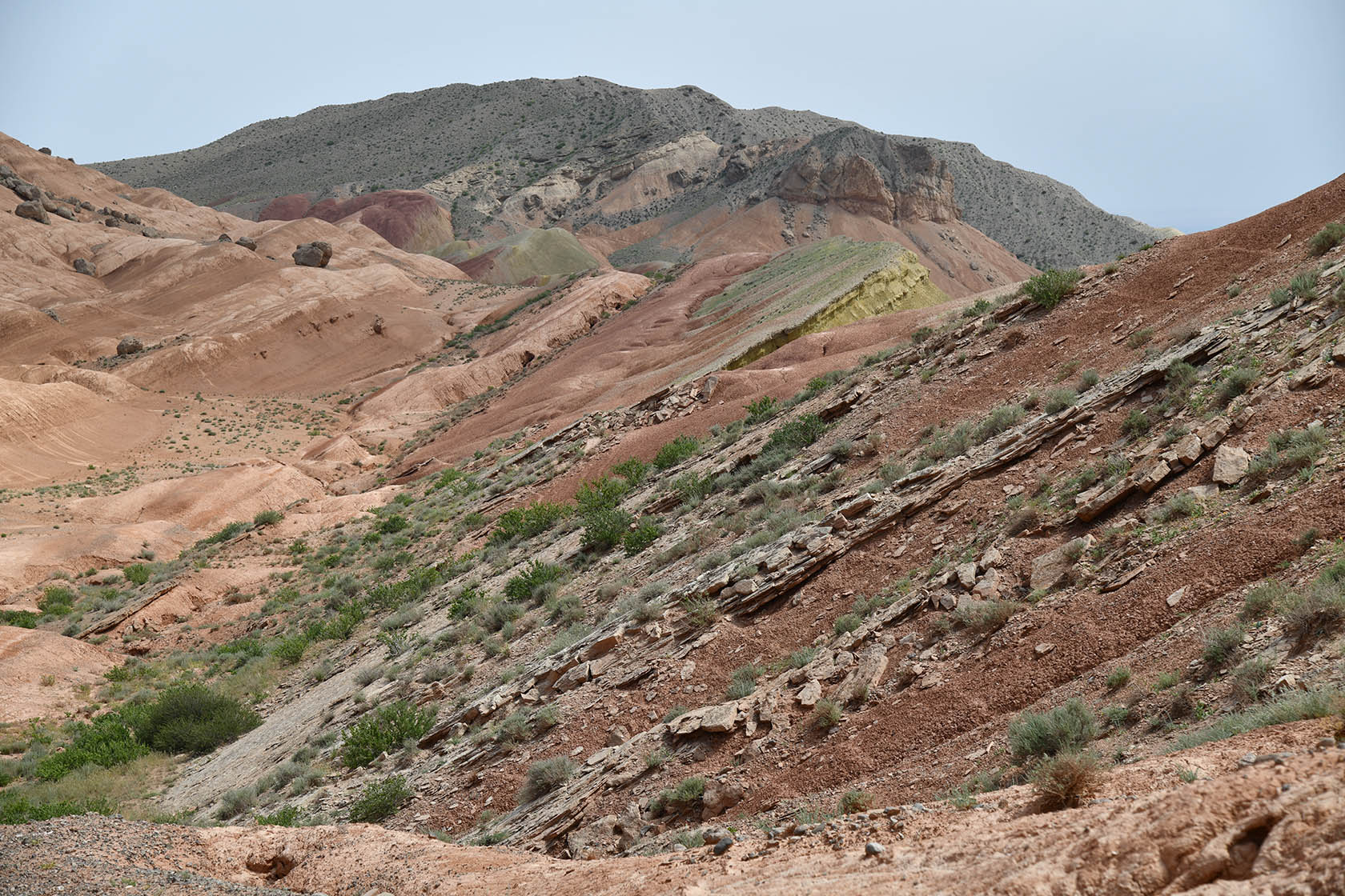 Исфара, image of landscape/habitat.