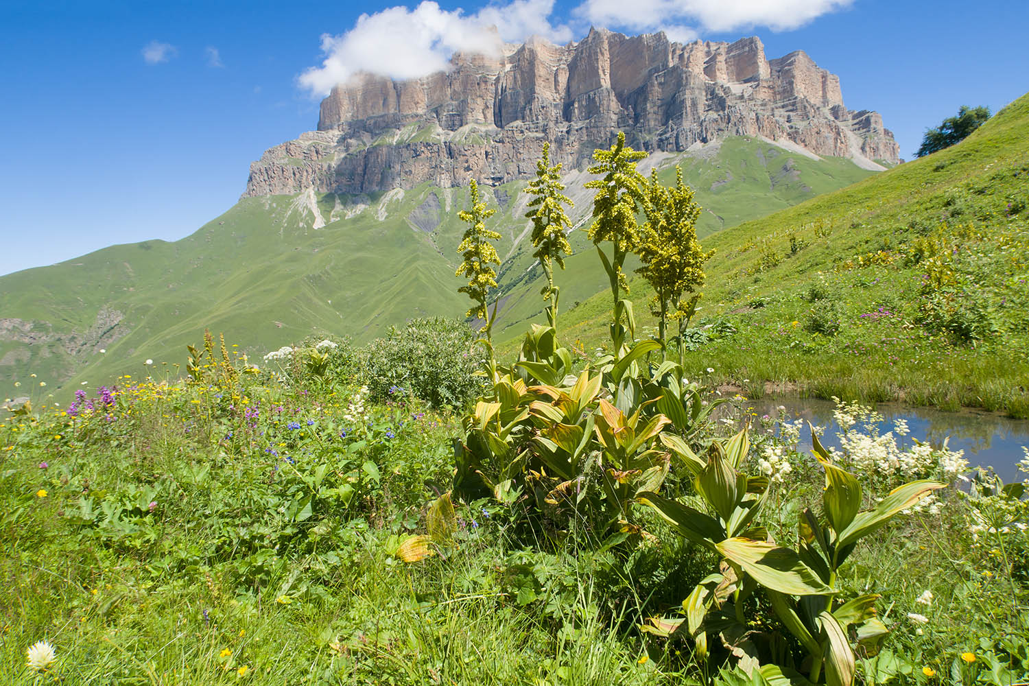 Озеро на склоне Айдарука-Цырт, image of landscape/habitat.