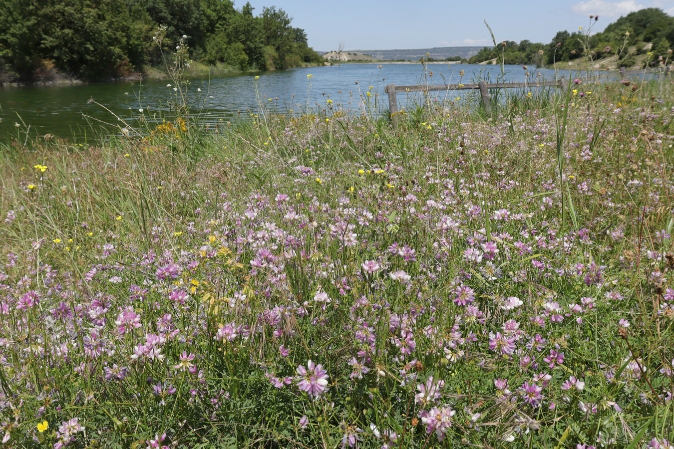 Озеро Штаны, image of landscape/habitat.