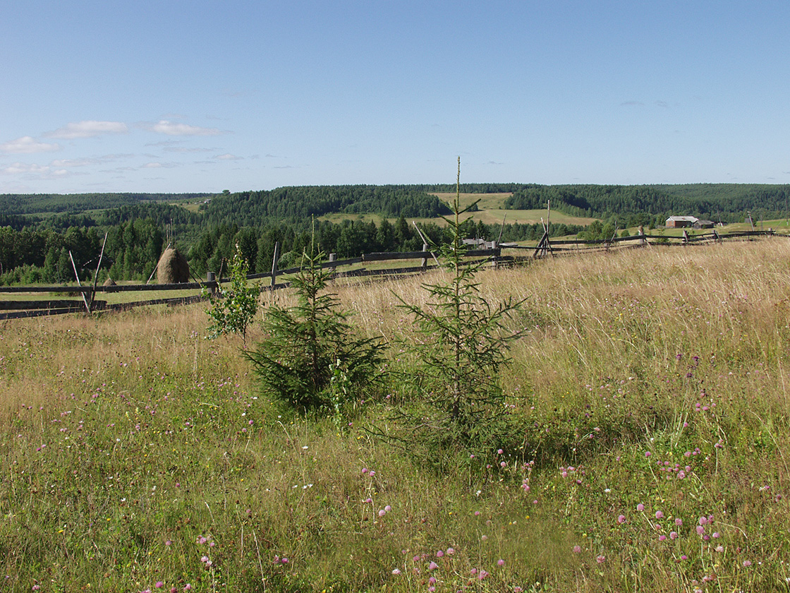 Акичкин Починок, image of landscape/habitat.