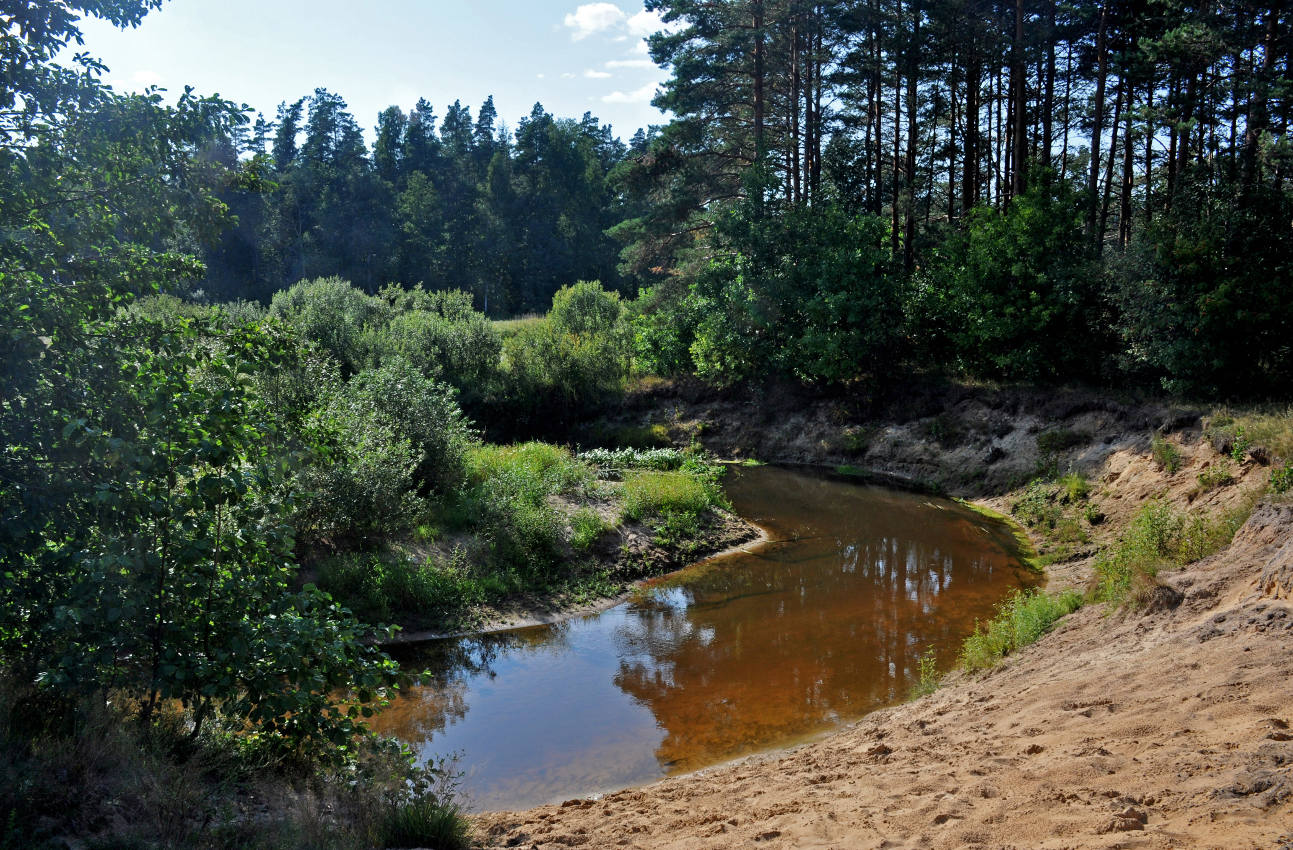 Долина реки Поля, image of landscape/habitat.