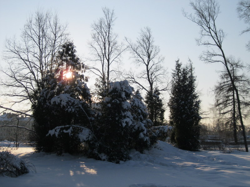 Павловск, image of landscape/habitat.