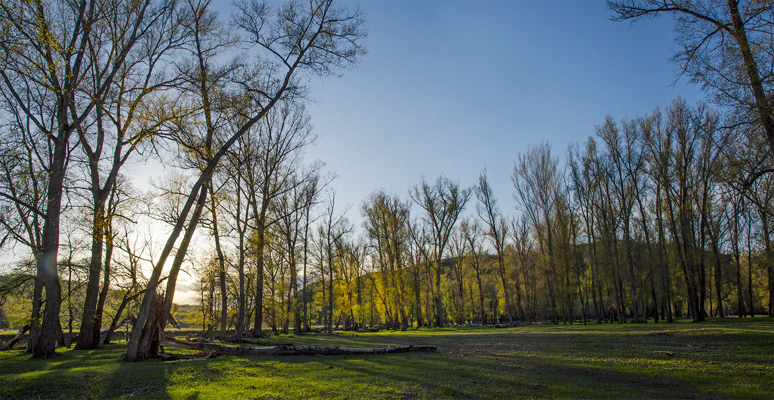 Янтышево и окрестности, image of landscape/habitat.