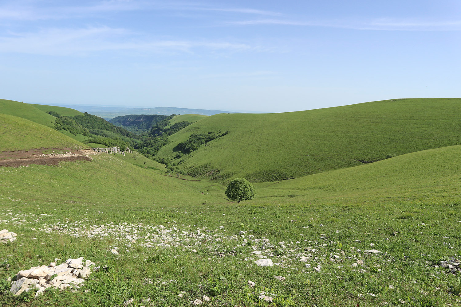 Балка Клевцова, image of landscape/habitat.