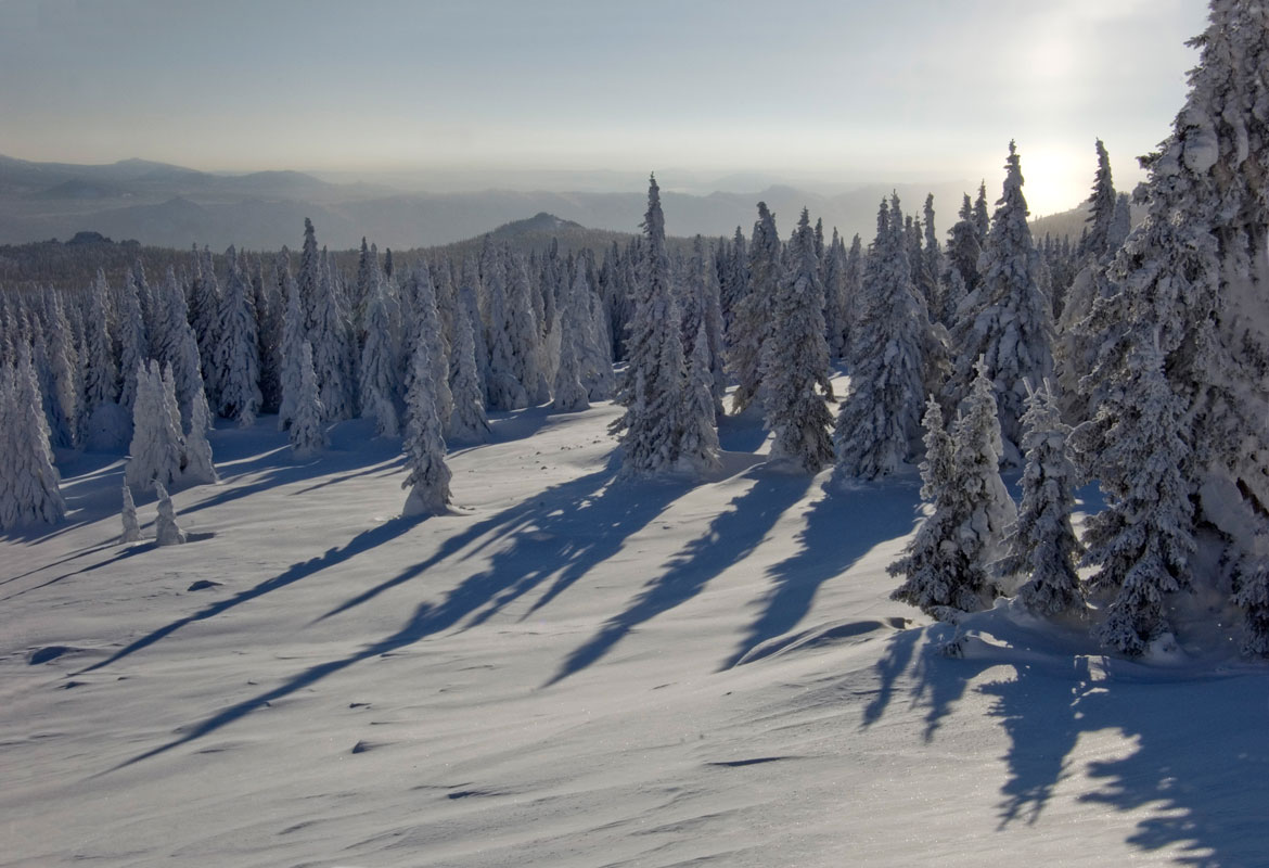 Окрестности горы Поперечная, image of landscape/habitat.