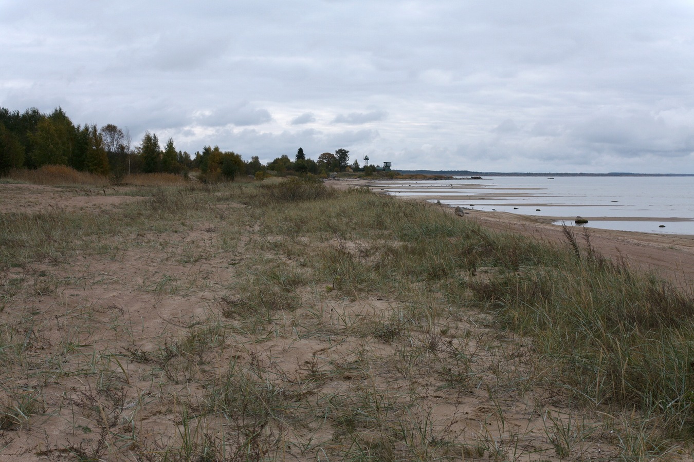 Окрестности Кленно, image of landscape/habitat.