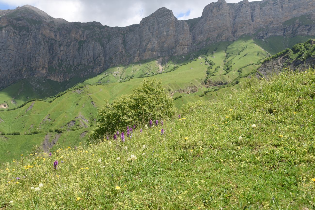 Урочище Хилиди, image of landscape/habitat.